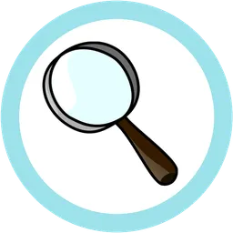 flash magnifier.webp